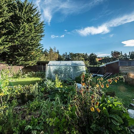 Mount Thomas Road B&B Rangiora Exterior foto