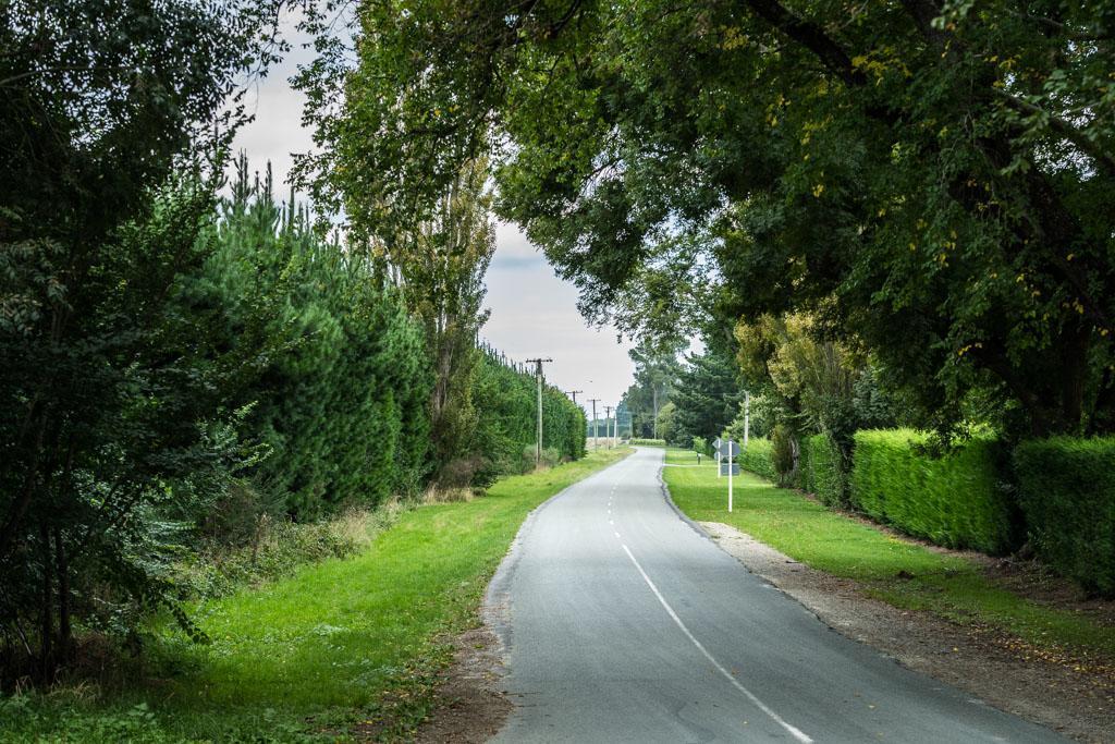 Mount Thomas Road B&B Rangiora Exterior foto
