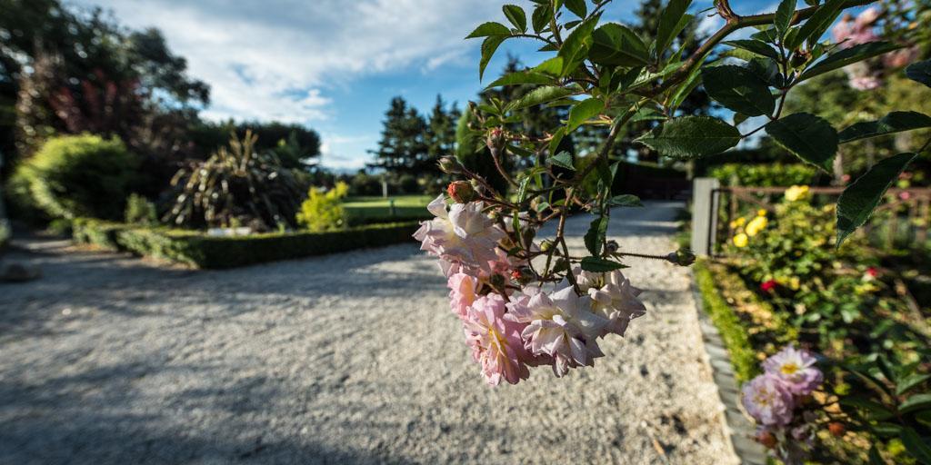 Mount Thomas Road B&B Rangiora Exterior foto
